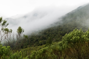 Expedição no Pico Paraná