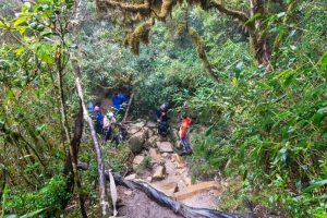 Expedição no Pico Paraná