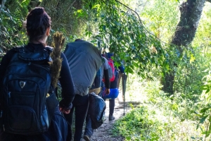 Trekking no Pico Caratuva