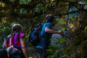 Trekking no Pico Itapiroca