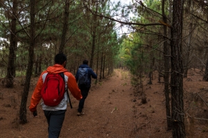 Trip rota das cachoeiras Piraí do Sul